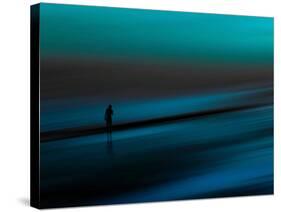 Aqua-Josh Adamski-Stretched Canvas