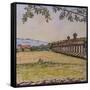 Aquaduct-Noel Paine-Framed Stretched Canvas