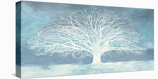Aquamarine Tree-Alessio Aprile-Stretched Canvas