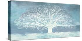 Aquamarine Tree-Alessio Aprile-Stretched Canvas