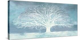 Aquamarine Tree-Alessio Aprile-Stretched Canvas