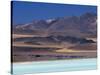 Aquamarine Waters of Laguna Tuyajto, Atacama, Chile-John Warburton-lee-Stretched Canvas