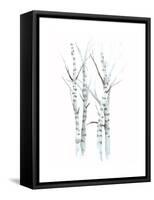 Aquarelle Birches I-Grace Popp-Framed Stretched Canvas