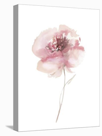 Aquarelle Blooms - Chic-Sandra Jacobs-Stretched Canvas
