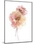 Aquarelle Blooms - Elegant-Sandra Jacobs-Mounted Giclee Print