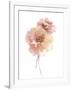 Aquarelle Blooms - Elegant-Sandra Jacobs-Framed Giclee Print