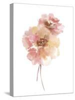 Aquarelle Blooms - Elegant-Sandra Jacobs-Stretched Canvas
