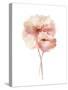 Aquarelle Blooms - Embrace-Sandra Jacobs-Stretched Canvas