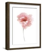 Aquarelle Blooms - Joy-Sandra Jacobs-Framed Giclee Print