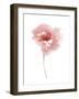 Aquarelle Blooms - Joy-Sandra Jacobs-Framed Giclee Print