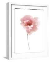 Aquarelle Blooms - Joy-Sandra Jacobs-Framed Giclee Print