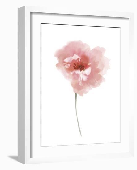 Aquarelle Blooms - Joy-Sandra Jacobs-Framed Giclee Print