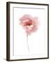 Aquarelle Blooms - Joy-Sandra Jacobs-Framed Giclee Print