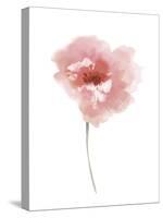 Aquarelle Blooms - Joy-Sandra Jacobs-Stretched Canvas