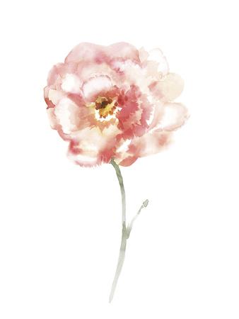 https://imgc.allpostersimages.com/img/posters/aquarelle-blooms-spring_u-L-F9PTMG0.jpg?artPerspective=n