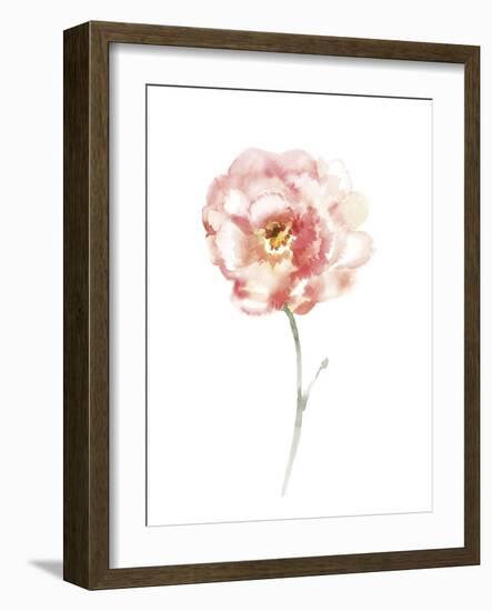 Aquarelle Blooms - Spring-Sandra Jacobs-Framed Giclee Print