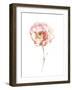 Aquarelle Blooms - Spring-Sandra Jacobs-Framed Giclee Print