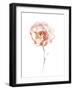 Aquarelle Blooms - Spring-Sandra Jacobs-Framed Giclee Print