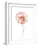 Aquarelle Blooms - Spring-Sandra Jacobs-Framed Giclee Print