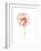 Aquarelle Blooms - Spring-Sandra Jacobs-Framed Giclee Print