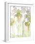 Aquarelle Forest II-Jennifer Goldberger-Framed Art Print