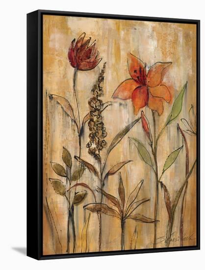 Aquarelle Garden II-Silvia Vassileva-Framed Stretched Canvas