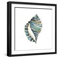 Aquarelle Shells I-Chariklia Zarris-Framed Art Print