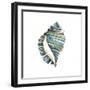 Aquarelle Shells I-Chariklia Zarris-Framed Art Print