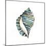 Aquarelle Shells I-Chariklia Zarris-Mounted Art Print