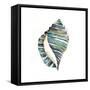 Aquarelle Shells I-Chariklia Zarris-Framed Stretched Canvas