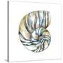 Aquarelle Shells II-Chariklia Zarris-Stretched Canvas