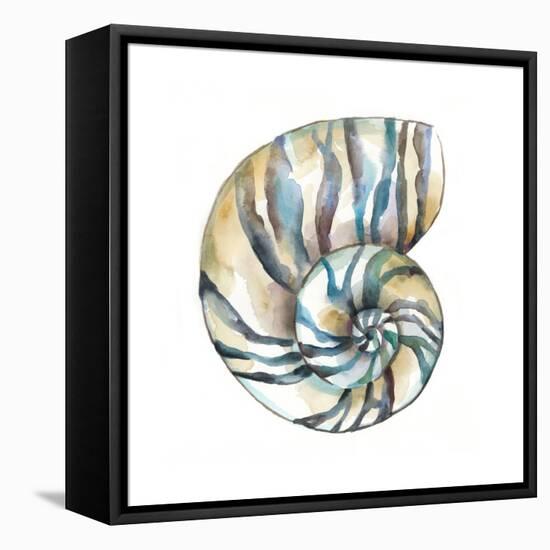 Aquarelle Shells II-Chariklia Zarris-Framed Stretched Canvas