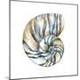 Aquarelle Shells II-Chariklia Zarris-Mounted Art Print