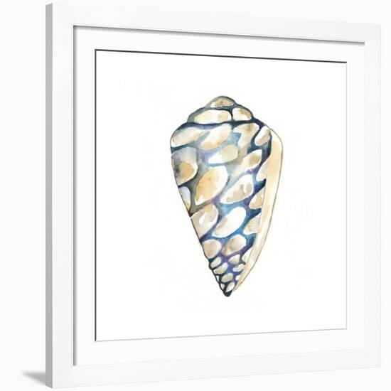 Aquarelle Shells III-Chariklia Zarris-Framed Art Print