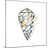 Aquarelle Shells III-Chariklia Zarris-Mounted Art Print