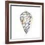 Aquarelle Shells III-Chariklia Zarris-Framed Art Print