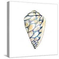 Aquarelle Shells III-Chariklia Zarris-Stretched Canvas