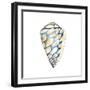 Aquarelle Shells III-Chariklia Zarris-Framed Art Print