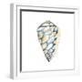 Aquarelle Shells III-Chariklia Zarris-Framed Art Print