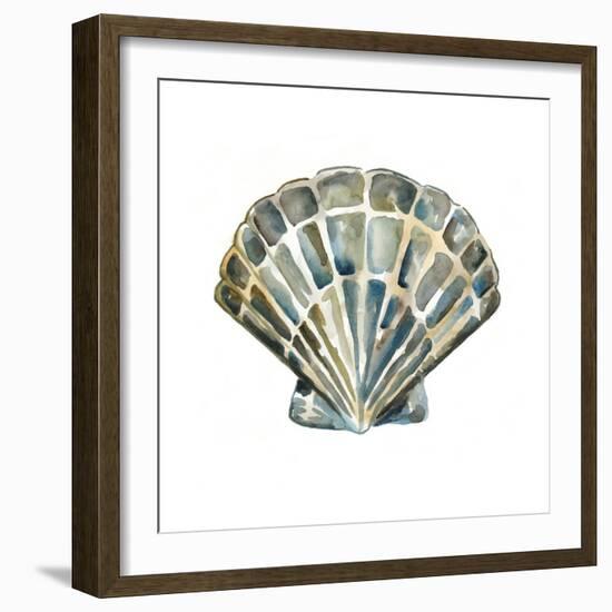 Aquarelle Shells IV-Chariklia Zarris-Framed Art Print