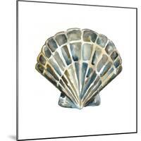 Aquarelle Shells IV-Chariklia Zarris-Mounted Art Print