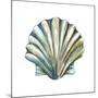 Aquarelle Shells VI-Chariklia Zarris-Mounted Art Print