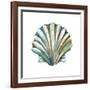 Aquarelle Shells VI-Chariklia Zarris-Framed Art Print