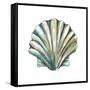 Aquarelle Shells VI-Chariklia Zarris-Framed Stretched Canvas