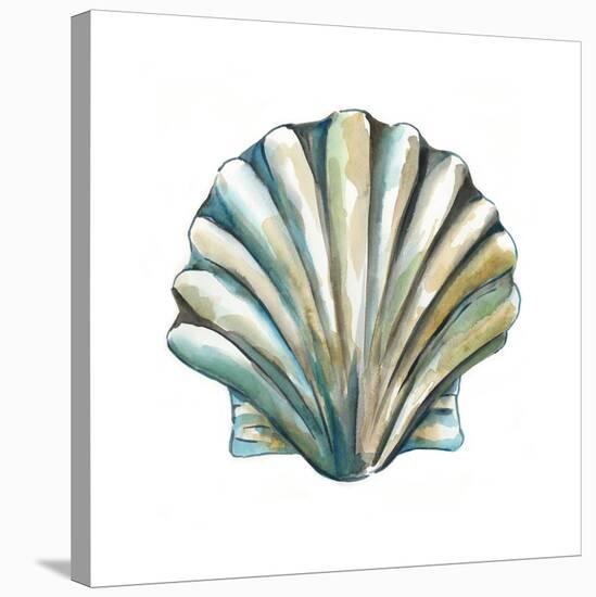 Aquarelle Shells VI-Chariklia Zarris-Stretched Canvas