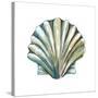 Aquarelle Shells VI-Chariklia Zarris-Stretched Canvas