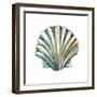 Aquarelle Shells VI-Chariklia Zarris-Framed Art Print