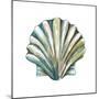 Aquarelle Shells VI-Chariklia Zarris-Mounted Art Print