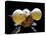 Aquarium Fish Bubble-Eye Goldfish-null-Stretched Canvas