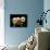 Aquarium Fish Bubble-Eye Goldfish-null-Photographic Print displayed on a wall